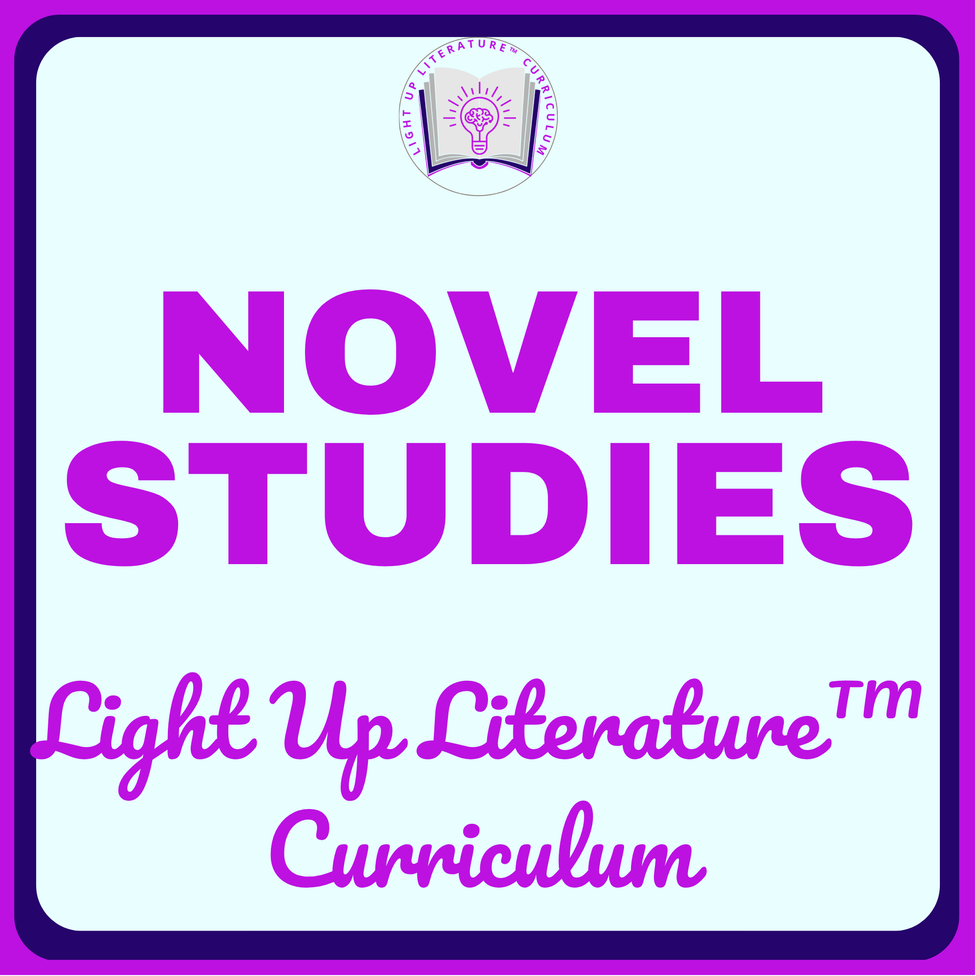 Novel Studies & Chapter-Based Resources